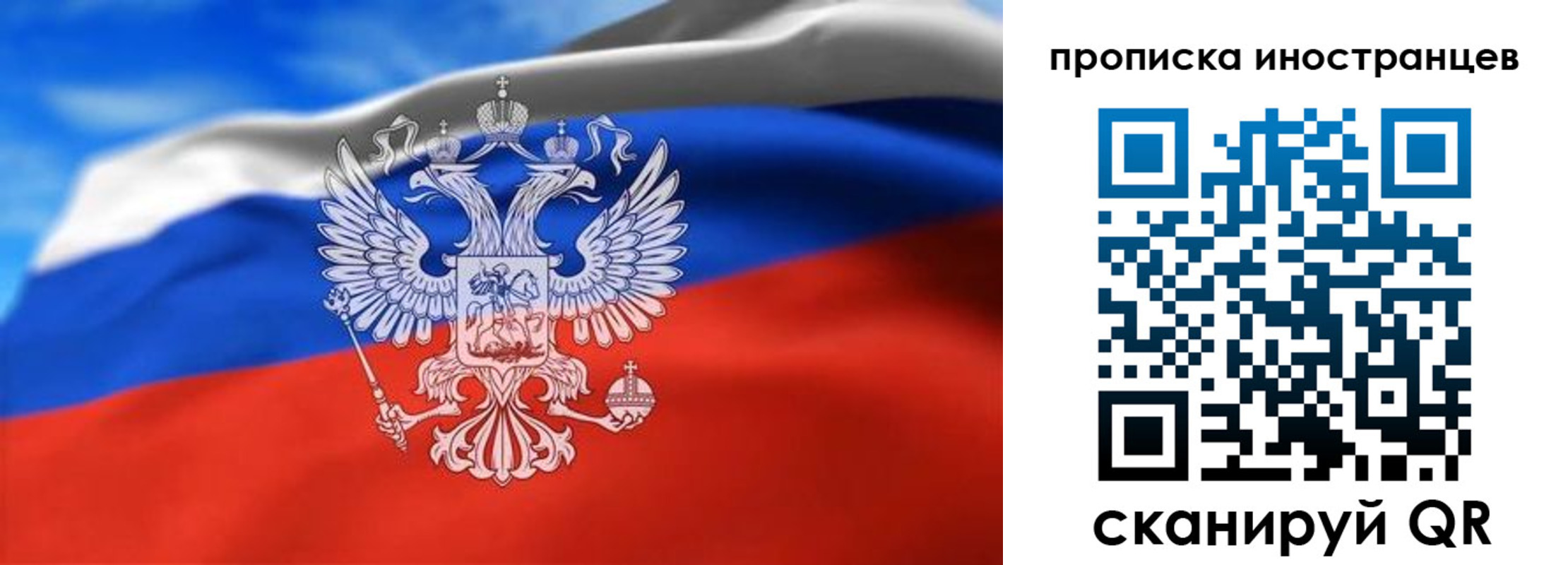 прописка паспорт в Мончегорске