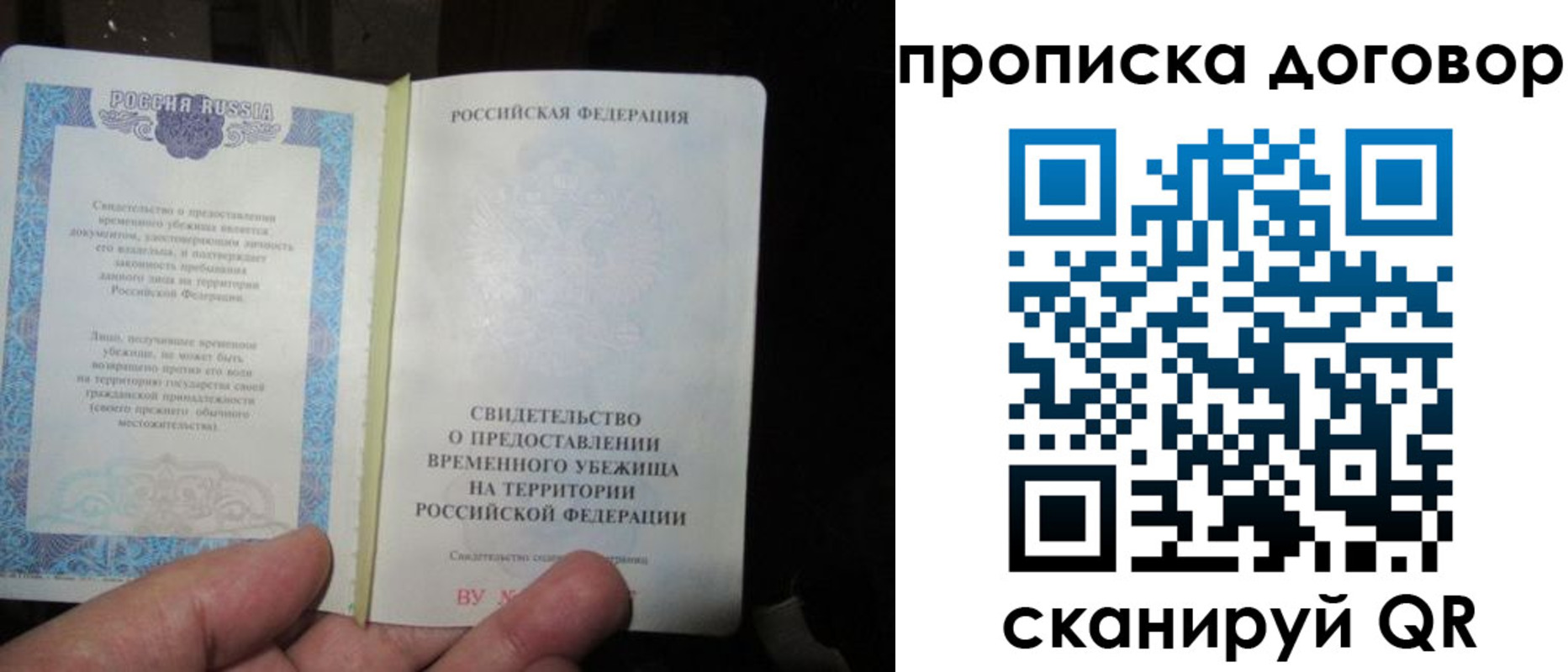 временная регистрация для школы в Мончегорске